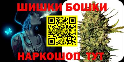мдпв Ачхой-Мартан