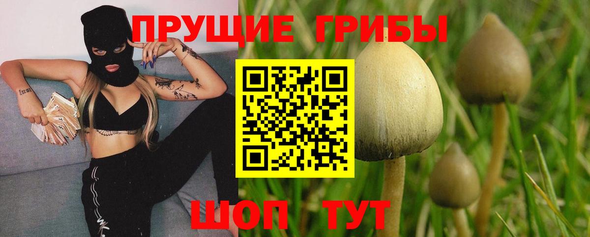 Галлюциногенные грибы прущие грибы Новокузнецк