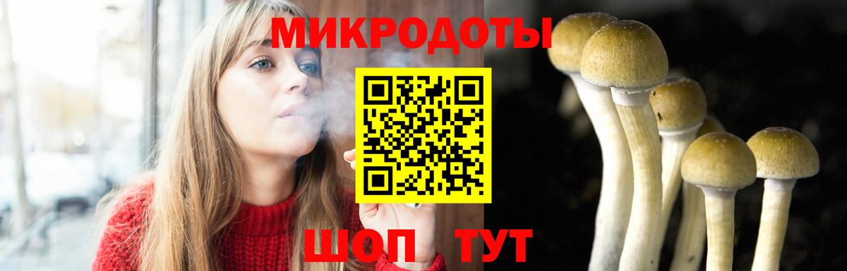 Галлюциногенные грибы ЛСД  Галлюциногенные грибы Magic Shrooms  Вход с VPN  Новокузнецк 